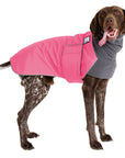 ReCoat ♻️ German Shorthaired Pointer Winter Coat with Harness Opening