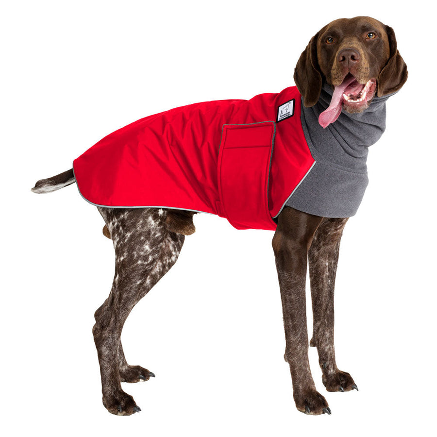 German Shorthaired Pointer Winter Coat (Red) - Voyagers K9 Apparel
