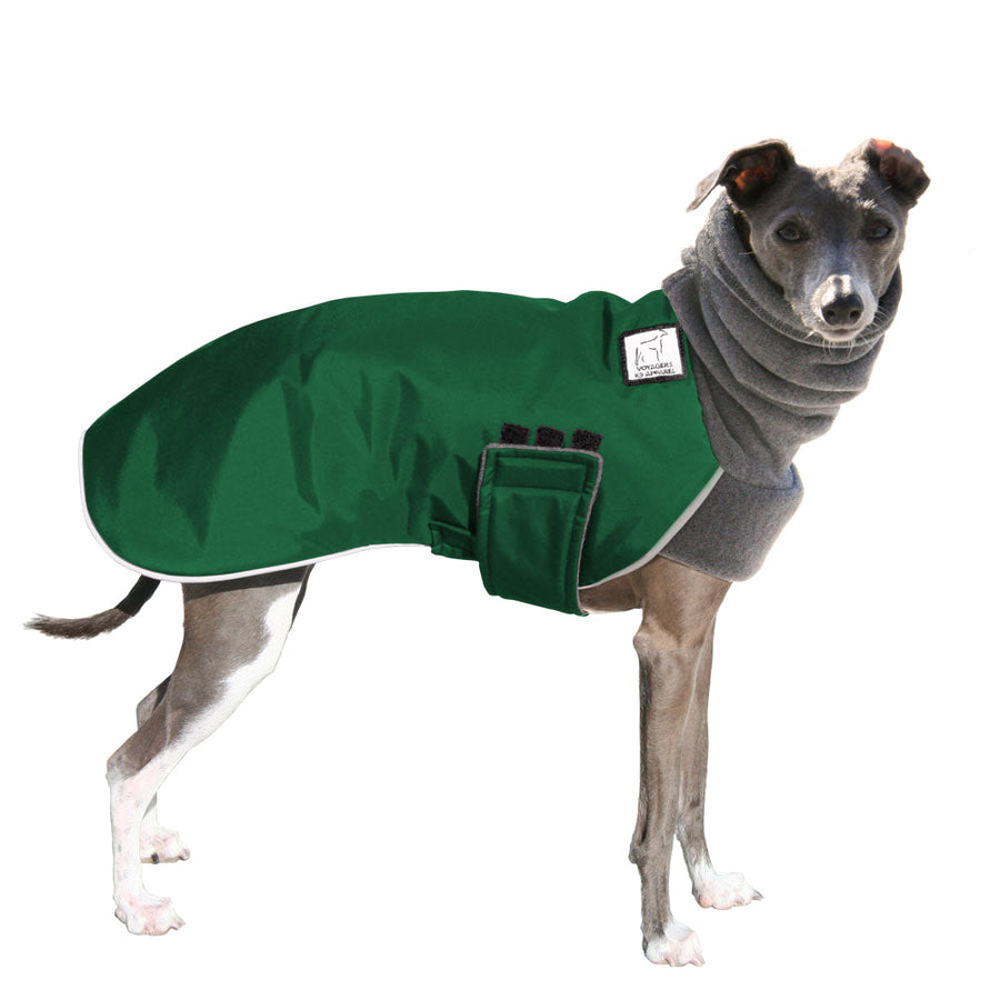 Italian Greyhound Winter Coat (Special Order Green) - Voyagers K9 Apparel