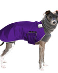 ReCoat ♻️ Italian Greyhound Winter Coat