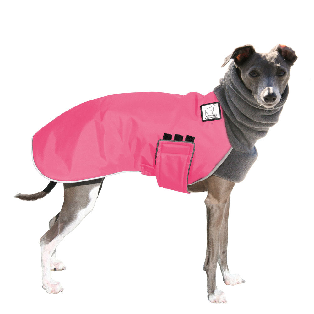 Italian Greyhound Winter Coat