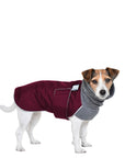 Jack Russell Terrier Winter Coat (Burgundy) - Voyagers K9 Apparel