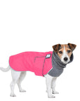 ReCoat ♻️ Jack Russell Terrier Winter Coat with Harness Opening