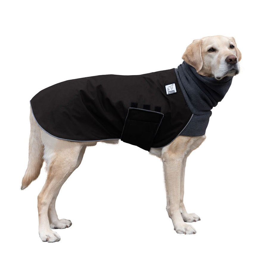 Labrador Retriever Winter Coat Voyagers K9 Apparel