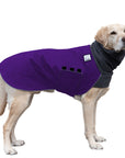 Labrador Retriever Winter Coat