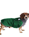 Miniature Dachshund Winter Coat (Special Order Green) - Voyagers K9 Apparel