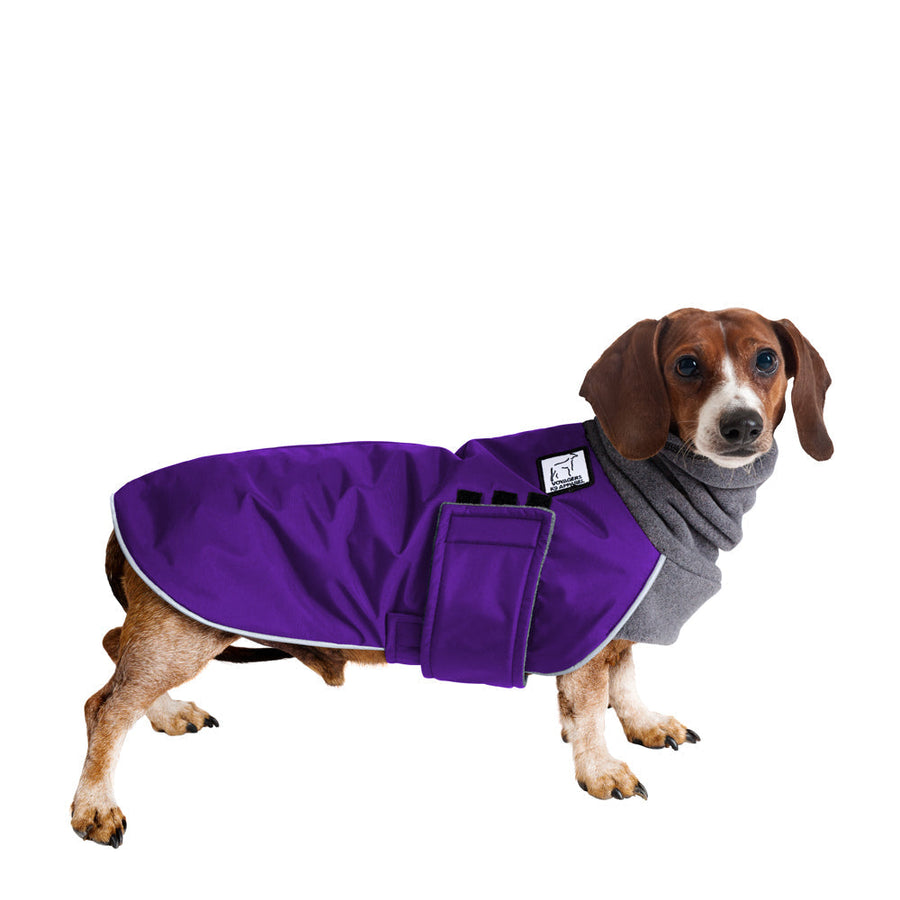ReCoat ♻️ Miniature Dachshund Winter Coat with Harness Opening
