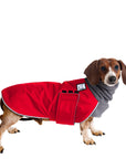 Miniature Dachshund Winter Coat (Red) - Voyagers K9 Apparel