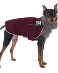 Miniature Pinscher Winter Coat (Burgundy) - Voyagers K9 Apparel Dog Gear