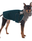 Miniature Pinscher Winter Coat (Dark Teal) - Voyagers K9 Apparel