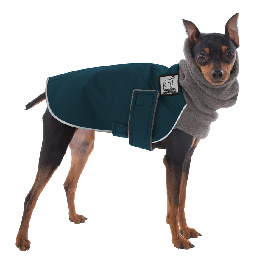 Miniature Pinscher Winter Coat (Dark Teal) - Voyagers K9 Apparel