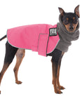 ReCoat ♻️ Miniature Pinscher Winter Coat with Harness Opening
