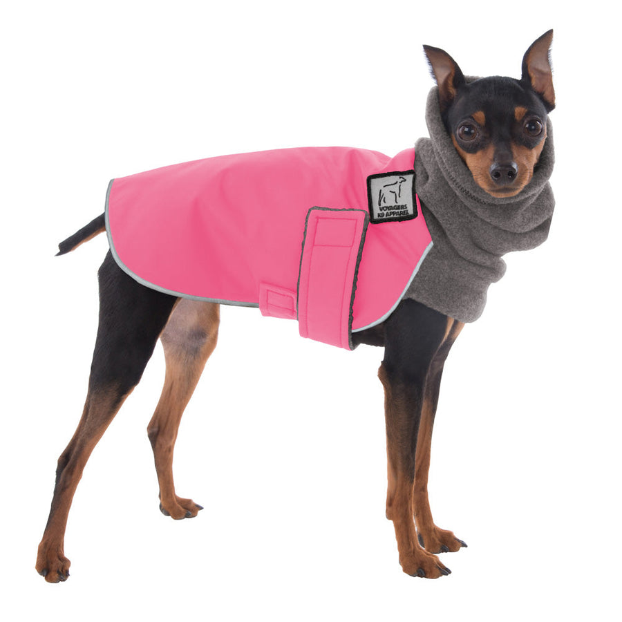 ReCoat ♻️ Miniature Pinscher Winter Coat with Harness Opening
