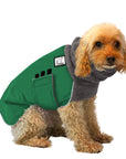 Miniature Poodle Winter Coat (Special Order Green) - Voyagers K9 Apparel