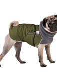 Pug Winter Coat (Olive)- Voyagers K9 Apparel