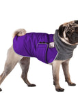 ReCoat ♻️ Pug Winter Coat with Harness Opening