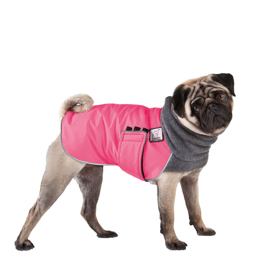 Pug Winter Coat