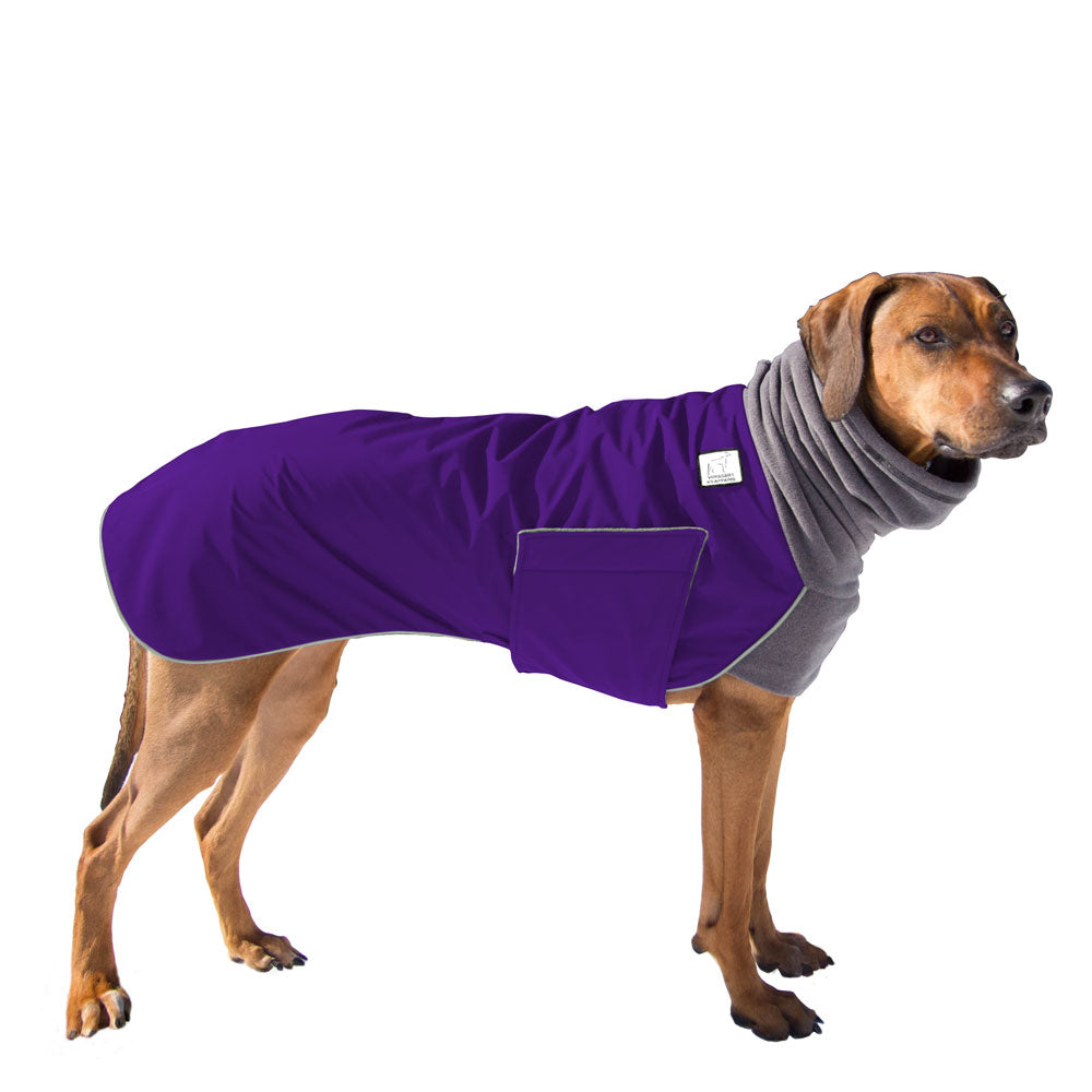 Rhodesian Ridgeback Winter Coat