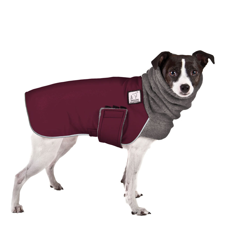 Rat Terrier Winter Coat (Burgundy) - Voyagers K9 Apparel