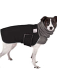 Rat Terrier Winter Coat (Black)- Voyagers K9 Apparel