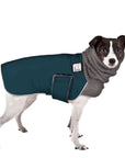 Rat Terrier Winter Coat (Dark Teal) - Voyagers K9 Apparel