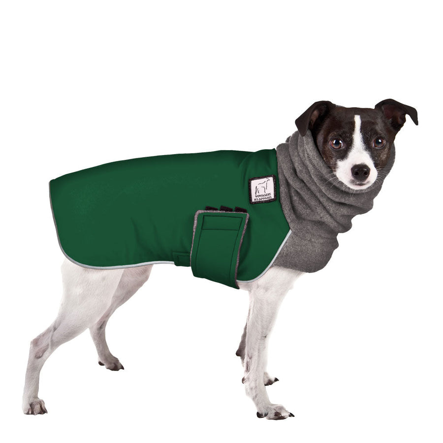 Rat Terrier Winter Coat (Special Order Green) - Voyagers K9 Apparel