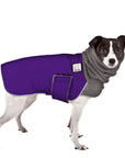 ReCoat ♻️ Rat Terrier Winter Coat