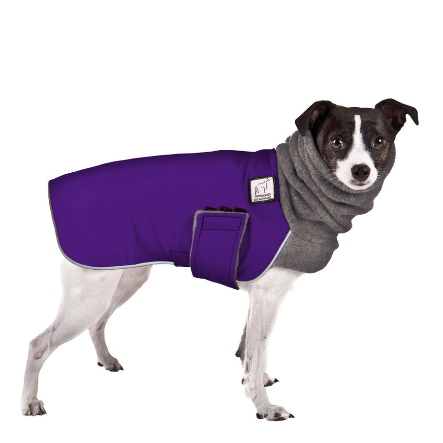 ReCoat ♻️ Rat Terrier Winter Coat with Harness Opening