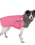 ReCoat ♻️ Rat Terrier Winter Coat with Harness Opening