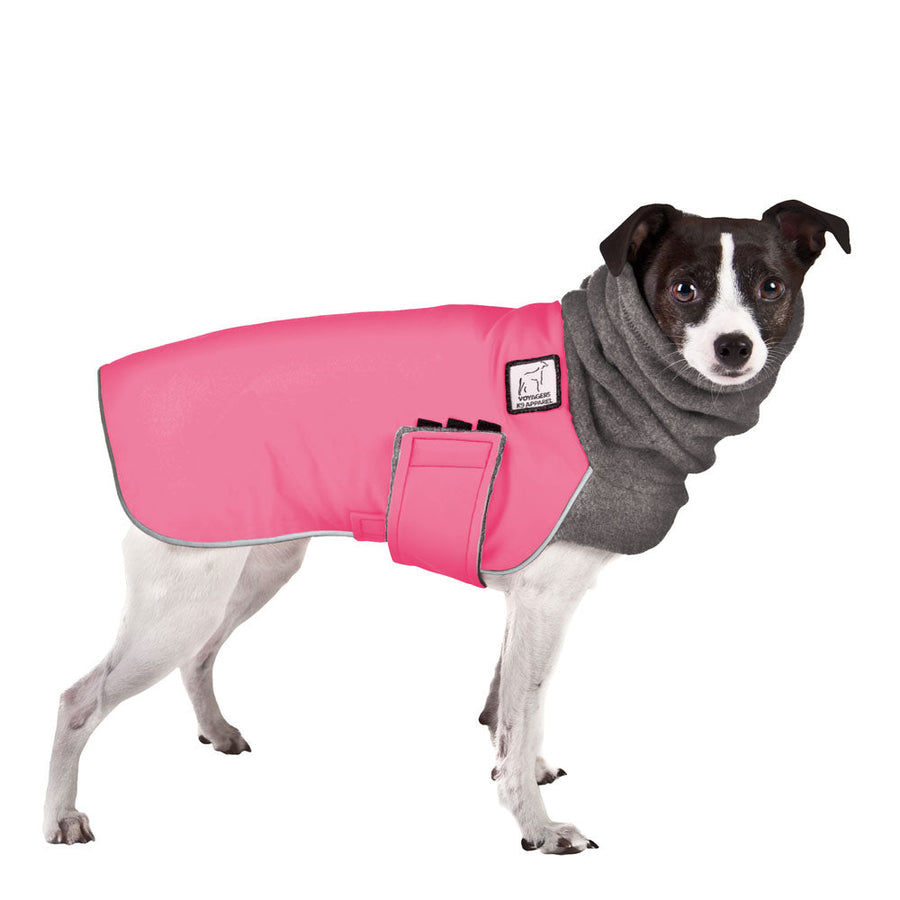 ReCoat ♻️ Rat Terrier Winter Coat