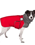 Rat Terrier Winter Coat (Red) - Voyagers K9 Apparel