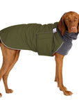 Vizsla Winter Coat (Olive) - Voyagers K9 Apparel