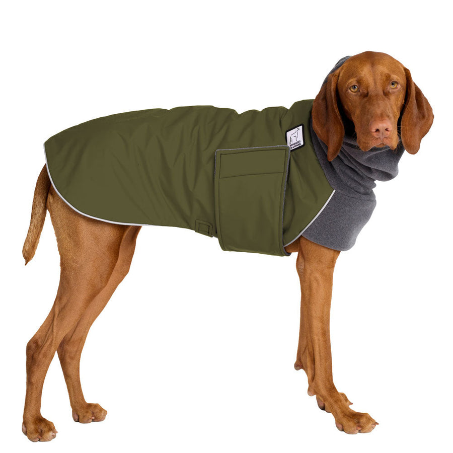 Vizsla Winter Coat (Olive) - Voyagers K9 Apparel