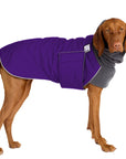 Vizsla Winter Coat