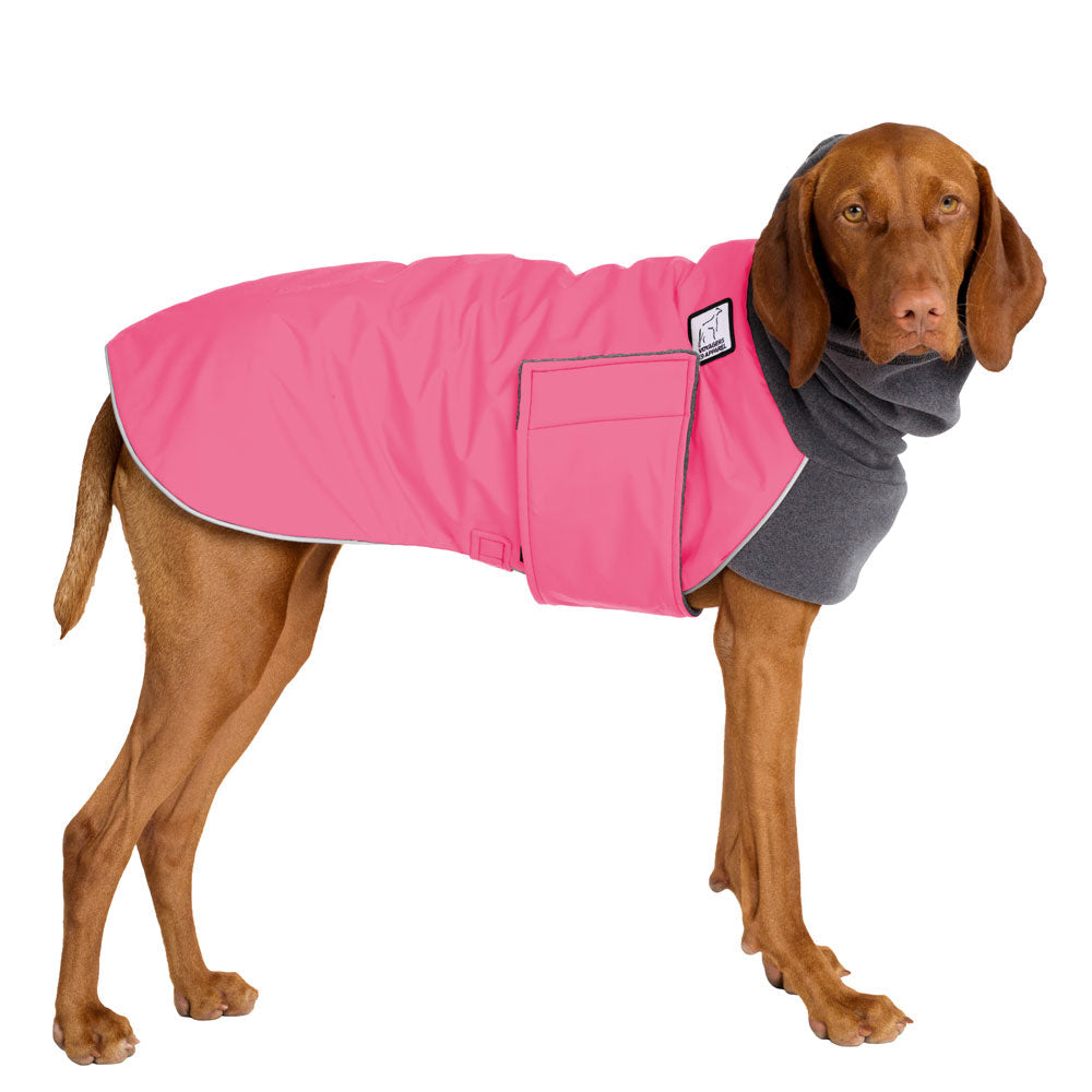 Vizsla Winter Coat