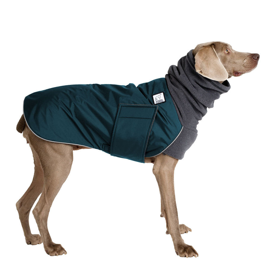 Weimaraner Winter Coat