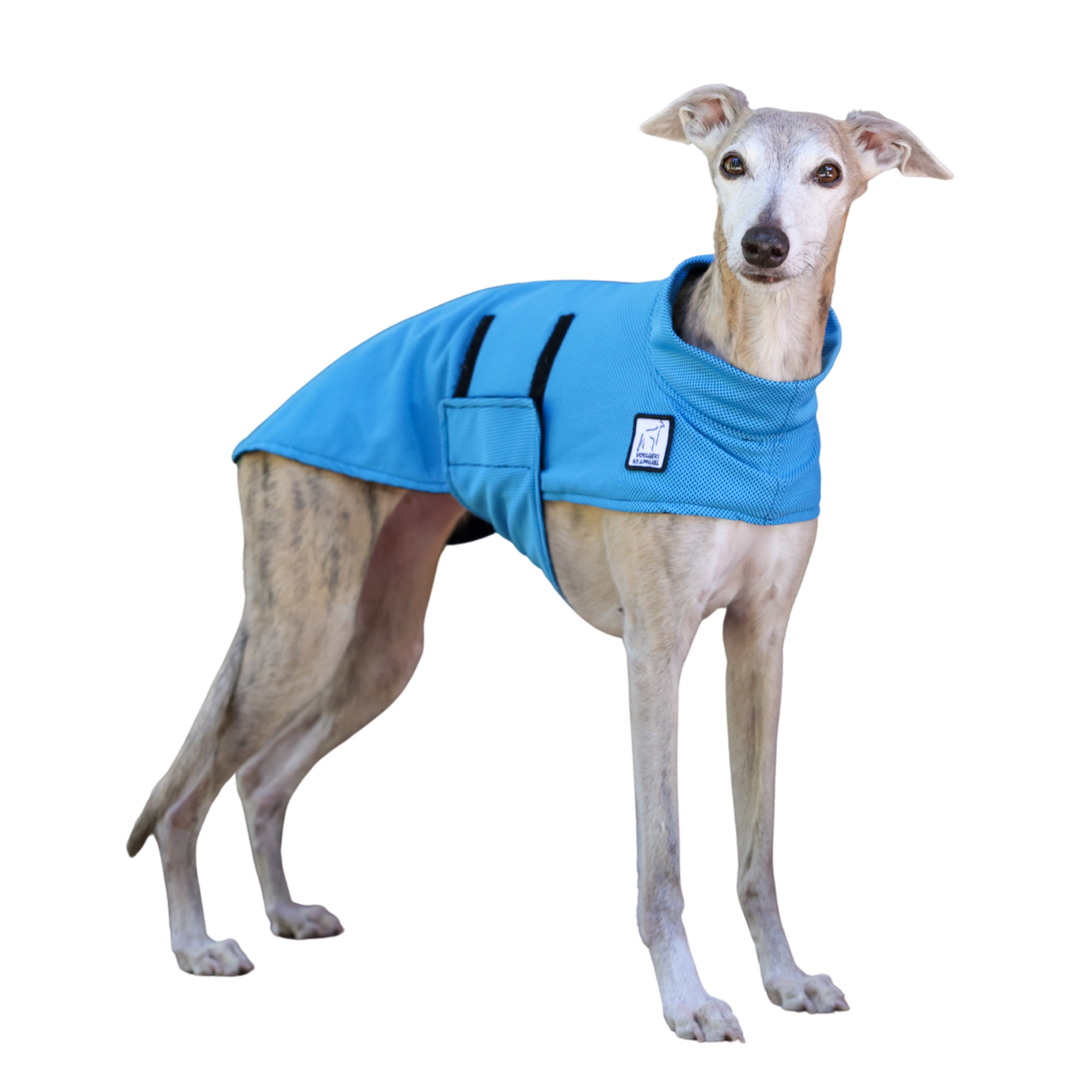 Whippet Cooling Coat