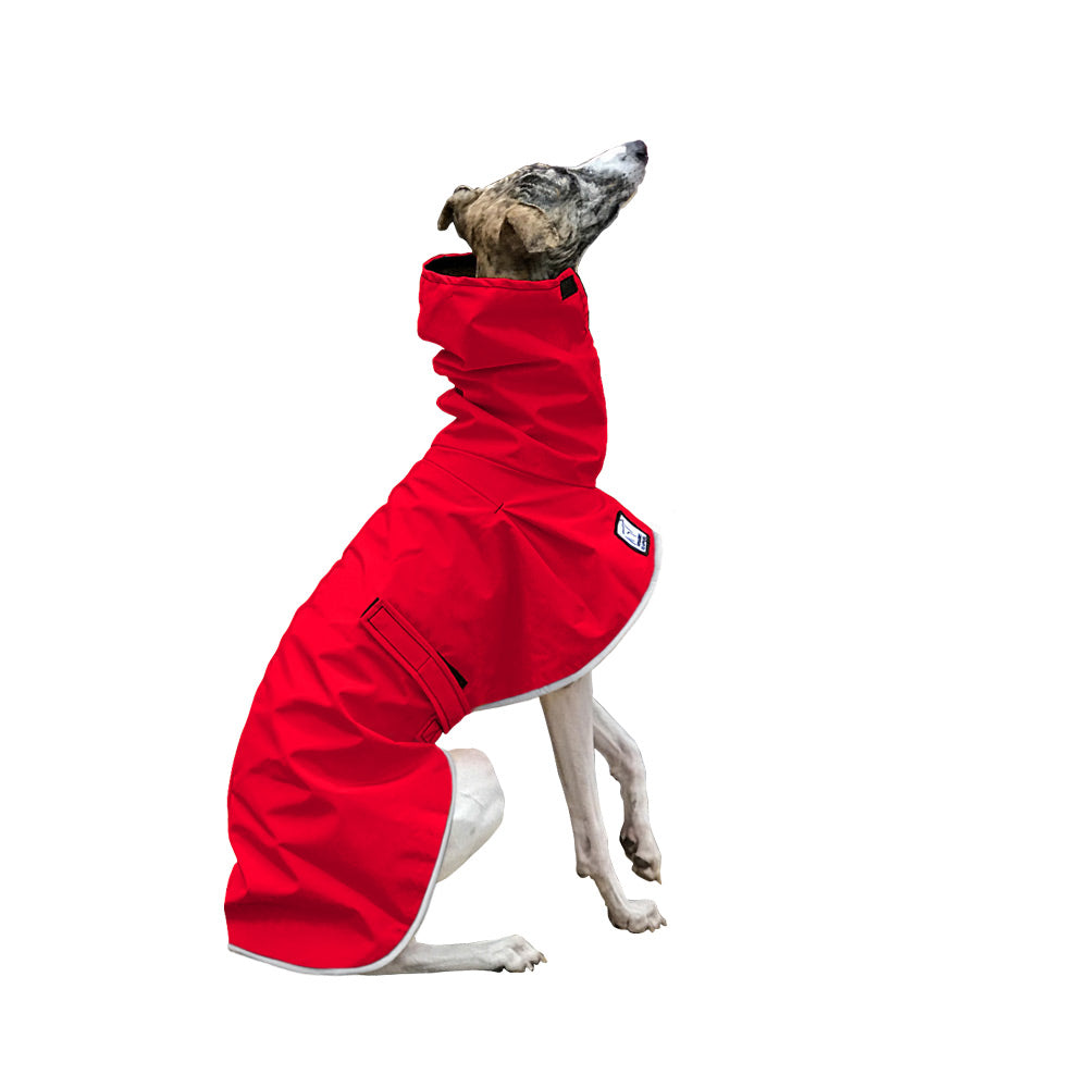 Whippet Raincoat