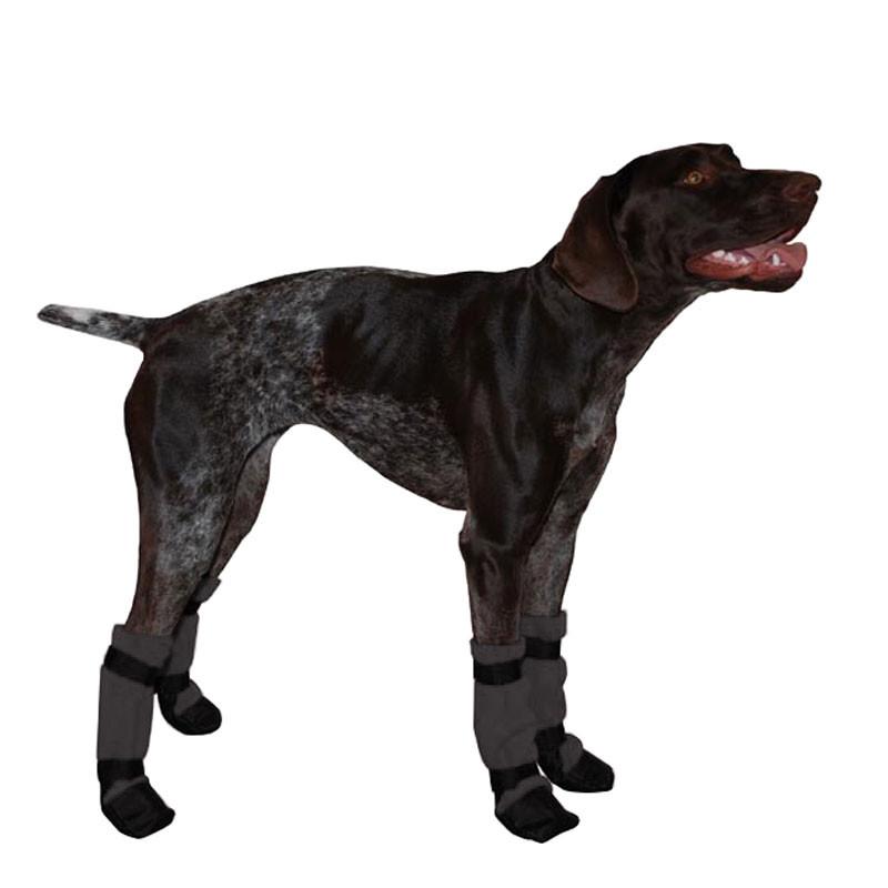 German Shorthaired Pointer Dog Booties - Voyagers K9 Apparel