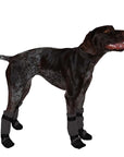 German Shorthaired Pointer Dog Booties - Voyagers K9 Apparel
