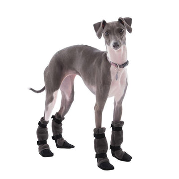 Italian Greyhound Dog Booties - Voyagers K9 Apparel