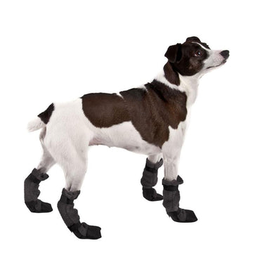 Rat Terrier Dog Booties - Voyagers K9 Apparel