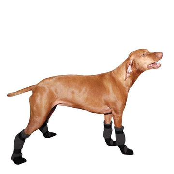 Vizsla Dog Booties - Voyagers K9 Apparel