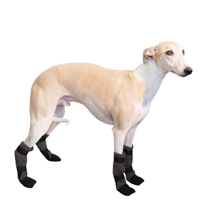 Whippet Dog Booties - Voyagers K9 Apparel