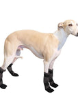 Whippet Dog Booties - Voyagers K9 Apparel