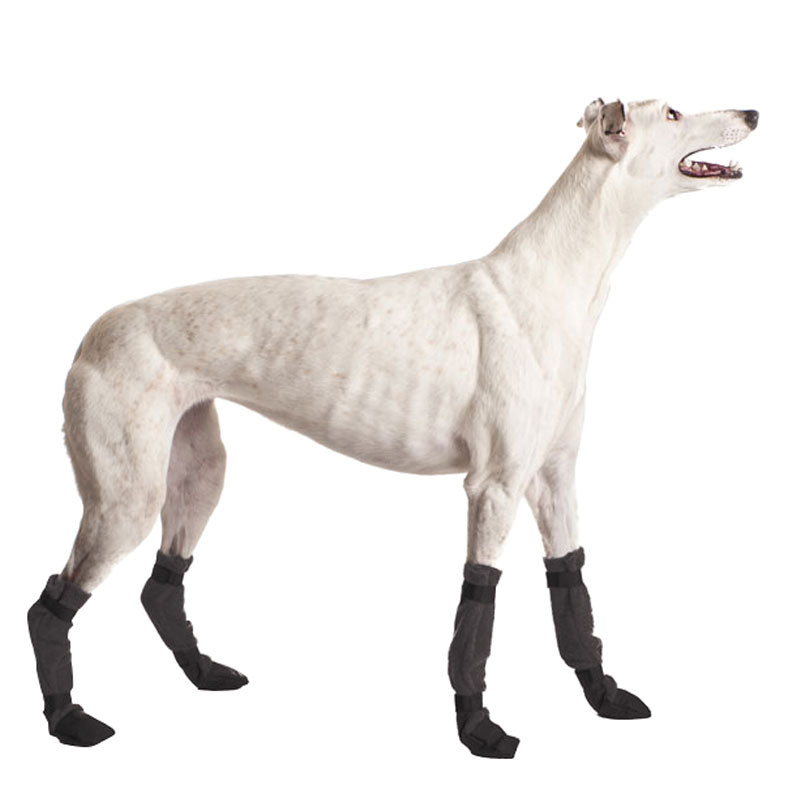 Greyhound Dog Booties - Voyagers K9 Apparel
