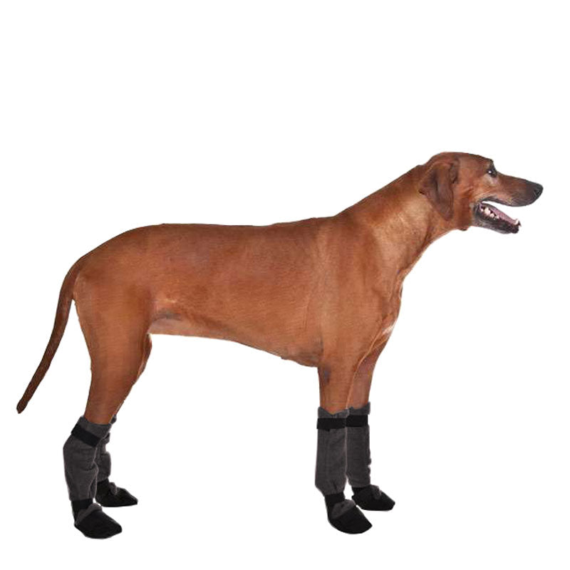 Rhodesian Ridgeback Dog Booties - Voyagers K9 Apparel