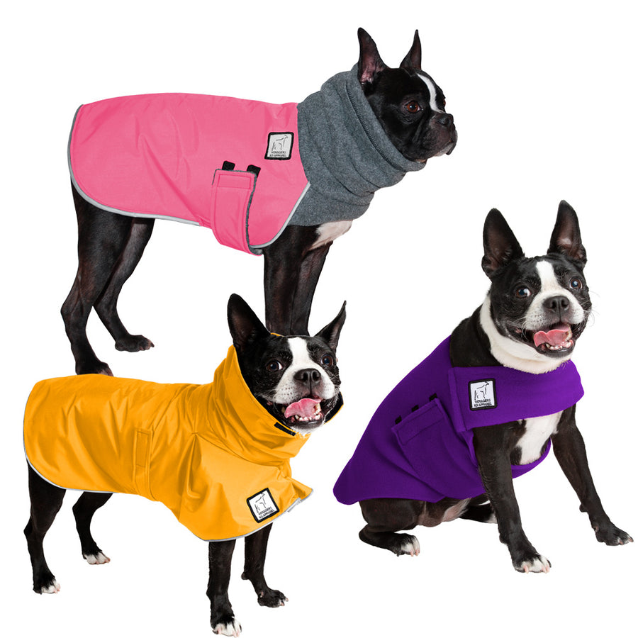 Boston Terrier Weather Combo - Voyagers K9 Apparel Dog Gear