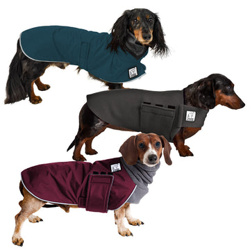 Dachshund (Standard) All Weather Combo - Voyagers K9 Apparel Dog Gear