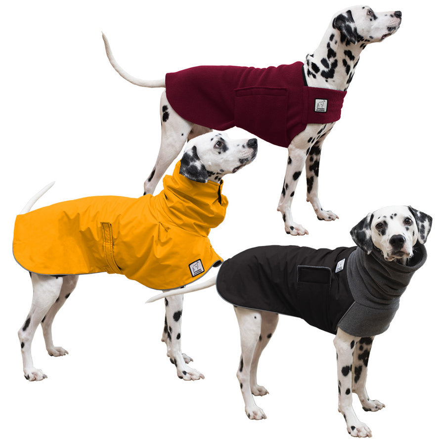 Dalmatian All Weather Combo - Voyagers K9 Apparel Dog Gear